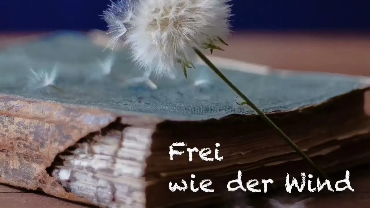 Video abspielen: Frei wie der Wind